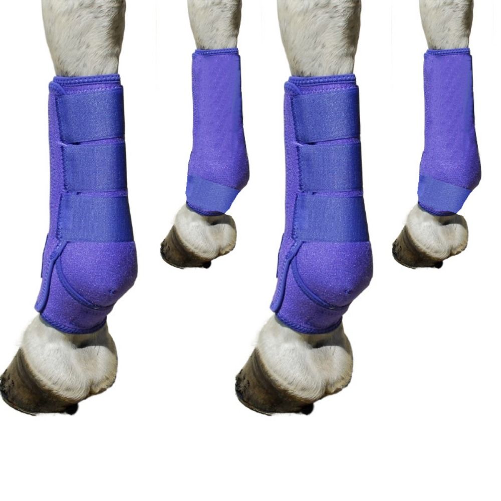 Brushing Boot Horse - Set di 4 stivali sportivi colorati