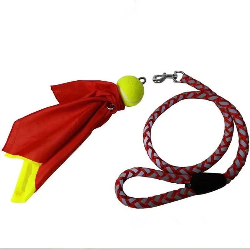 Drago Danzante con Sfera Oscil - Outdoor Sport Festival recensione e prezzo