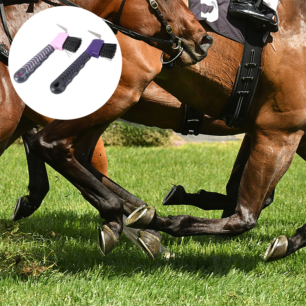2 Pezzi Spazzola per Zoccoli d - Brushing Boot Horse recensione e prezzo
