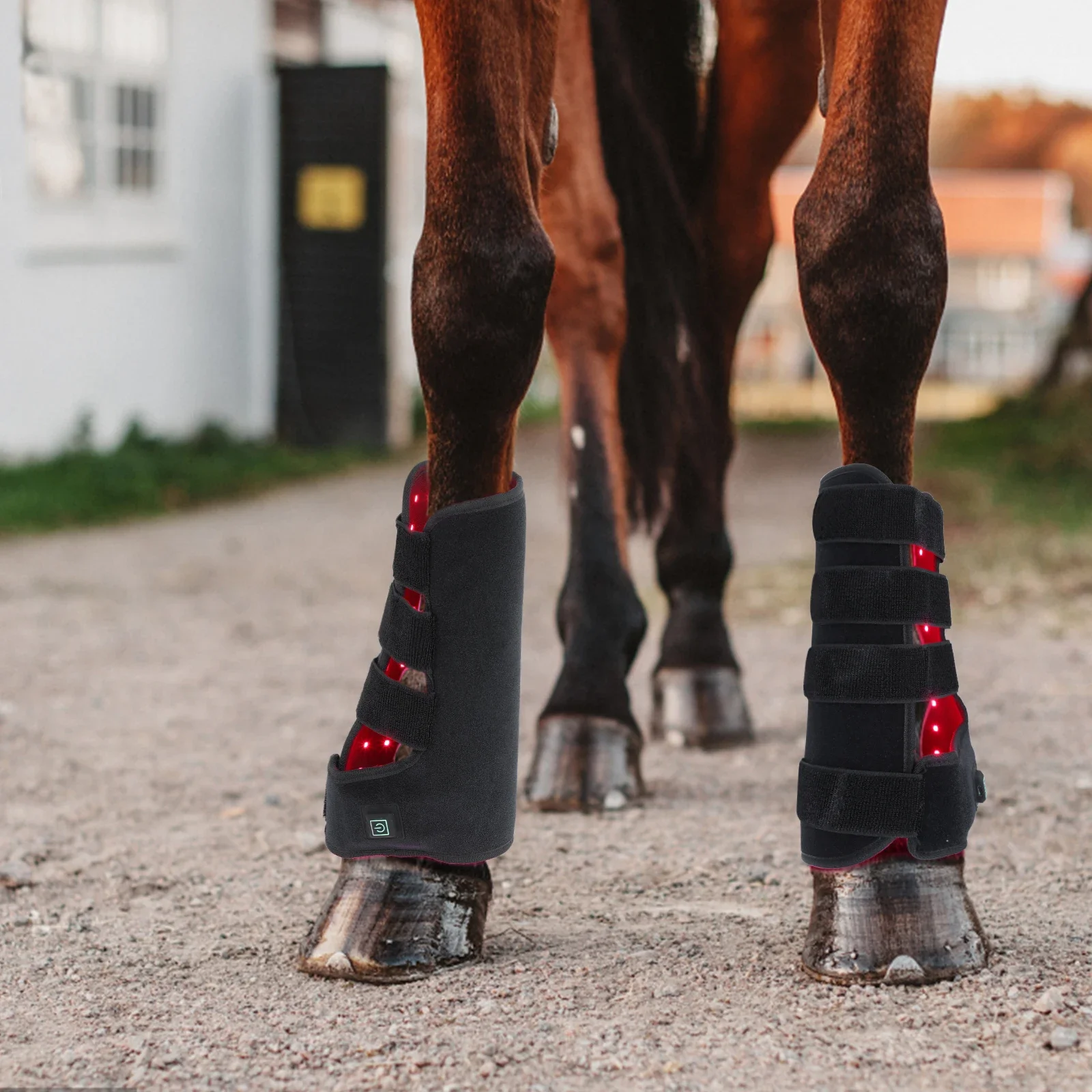 Nuove stivali per equitazione  - Brushing Boot Horse recensione e prezzo