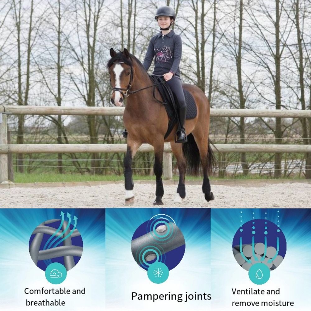 Set di 4 stivali sportivi colo - Brushing Boot Horse recensione e prezzo
