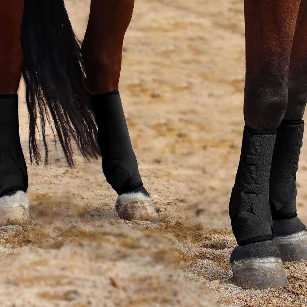 Set di 4 stivali sportivi colo - Brushing Boot Horse recensione e prezzo