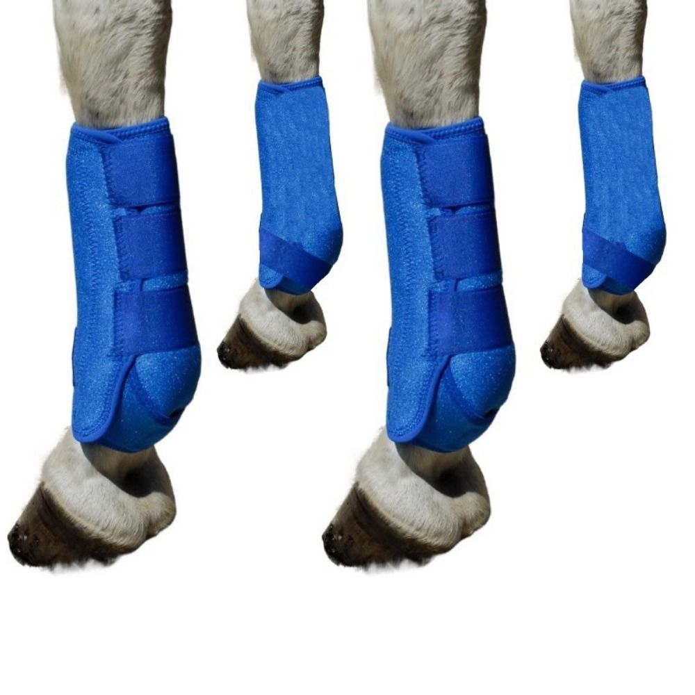 Set di 4 pezzi di stivali spor - Brushing Boot Horse recensione e prezzo